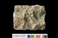 藏品(石灰岩)的圖片